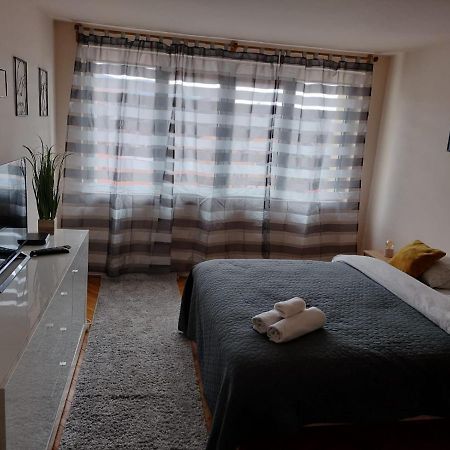 Appartamento Nexus Center Miercurea Ciuc Esterno foto