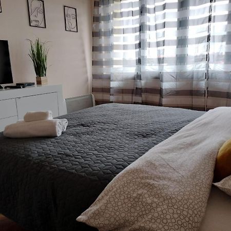 Appartamento Nexus Center Miercurea Ciuc Esterno foto