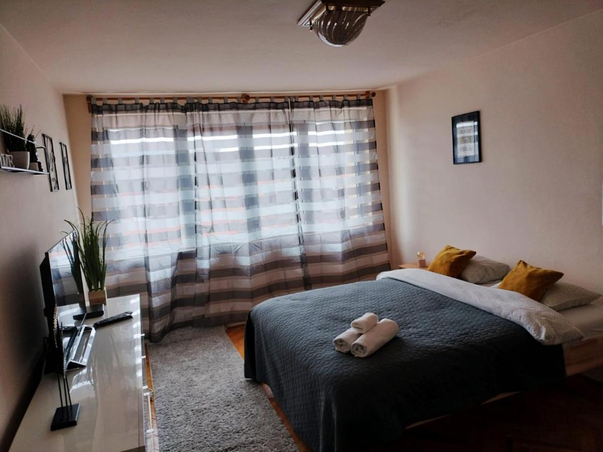 Appartamento Nexus Center Miercurea Ciuc Esterno foto