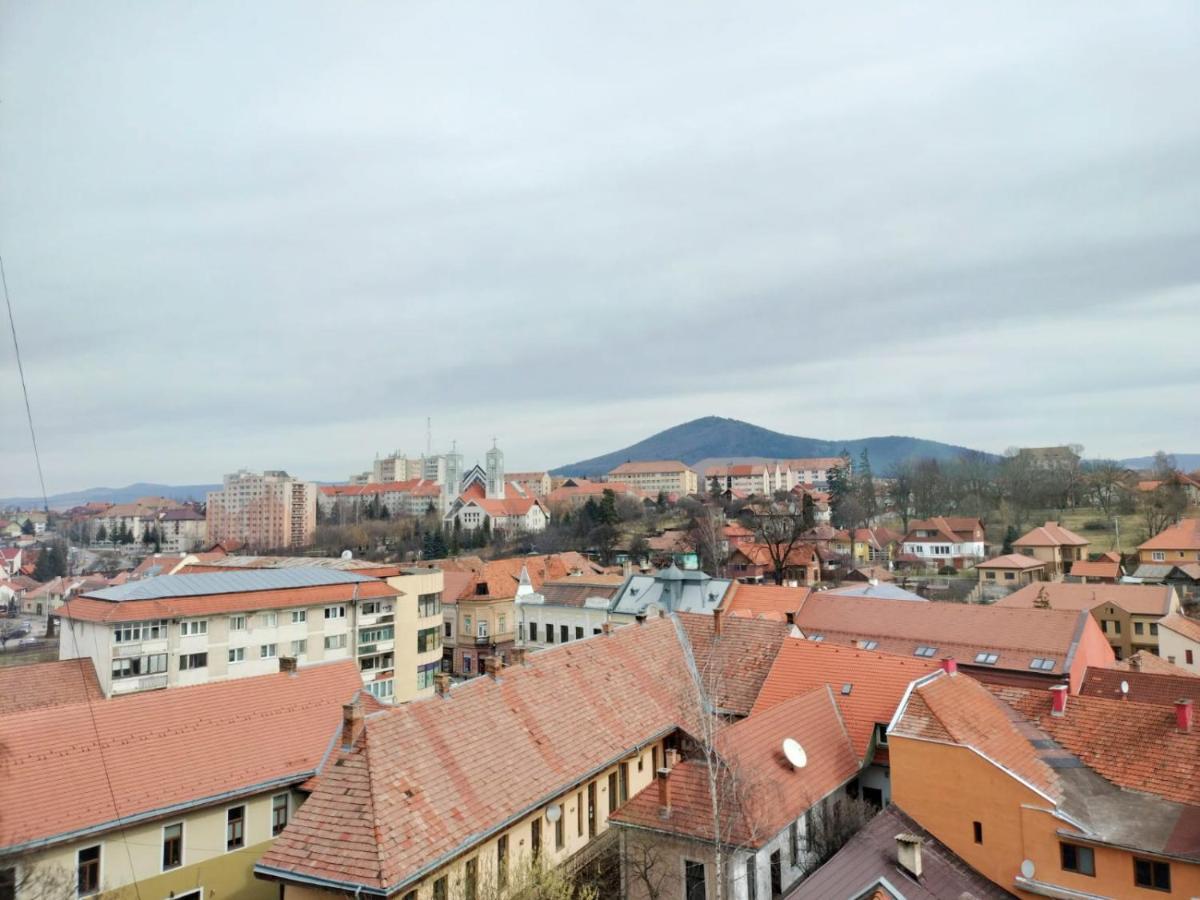 Appartamento Nexus Center Miercurea Ciuc Esterno foto